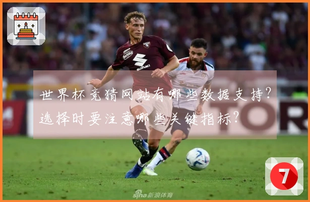 世界杯竞猜网站有哪些数据支持?选择时要注意哪些关键指标?