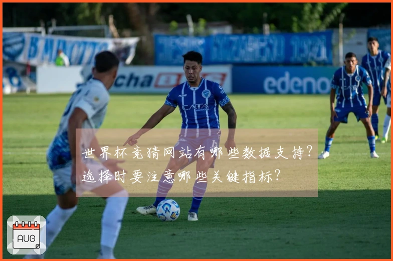 世界杯竞猜网站有哪些数据支持?选择时要注意哪些关键指标?