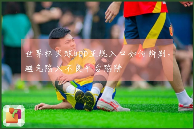 世界杯买球app正规入口如何辨别，避免陷入不良平台陷阱